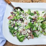 Modern Broccoli Salad is an updated version of the classic with shallots, bacon, cranberries, sunflower seeds and Pecorino cheese.